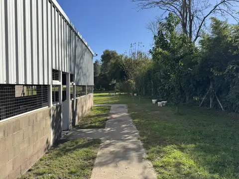 Galpon en Venta 78  mts Frente