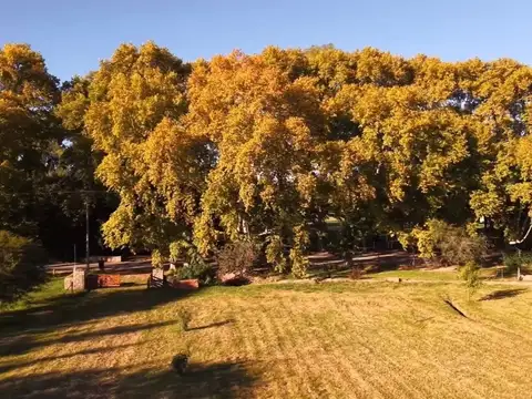 Terreno en Venta de 1025,0 m2