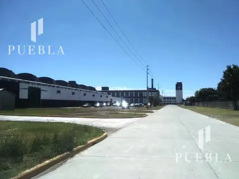 Galpon en Alquiler A Estrenar