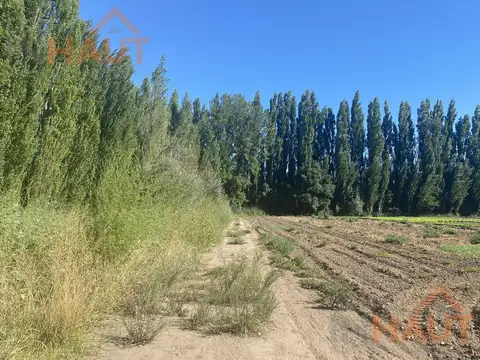 Chacra Frente Ruta 7 - VISTA ALEGRE SUR