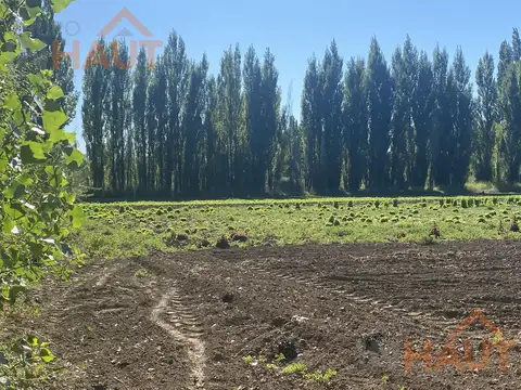 Chacra Frente Ruta 7 - VISTA ALEGRE SUR
