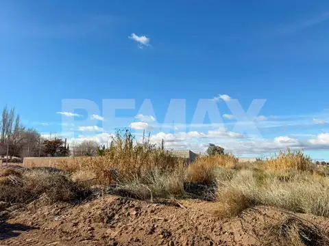 Santa Cruz