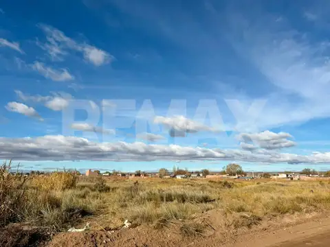 LOTE EN VENTA | SENILLOSA | PROVINCIA DE NEUQUÉN