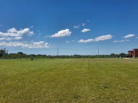 Terreno en Venta 31  mts Fondo