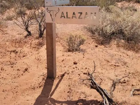 FINCAS PUEBLO VACA MUERTA  5 HECTAREAS EN SENILLOSA
