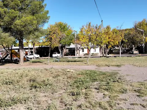 Calle Pública 2