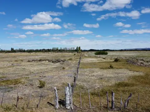 Chacra - Sarmiento