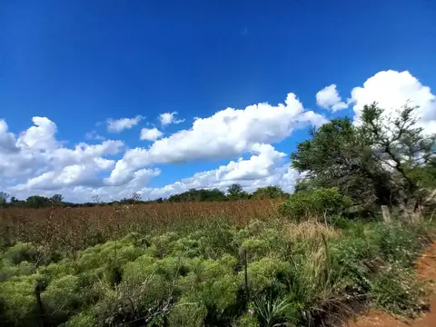 Capilla del Señor - Camino a Campana