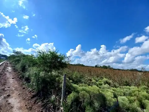 Campo 5 ha. apto Desarrollo Urbano