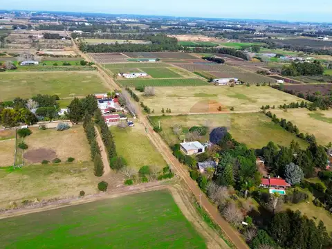 VENTA CAMPO+CHACRA  4.5 Ha. LAS PIEDRAS CANELONES