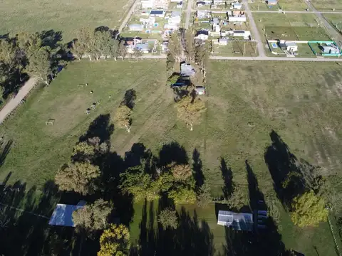 San Martin y Belgrano