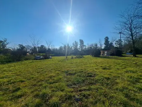 Venta terreno La Lonja Pilar 3300m2