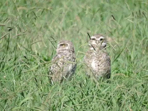 VENTA TERRENO BARRIO PRIVADO LOS BHÚOS