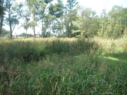 Ruta Provincial 5 100