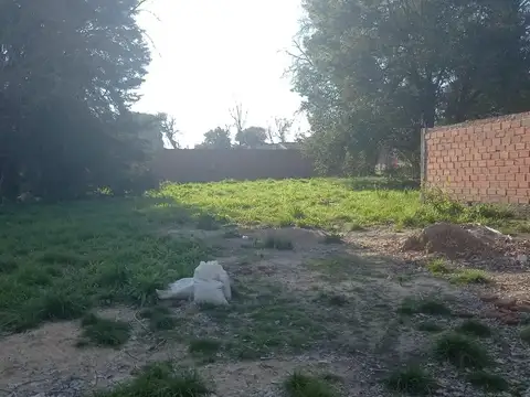 Gran Alameda 100
