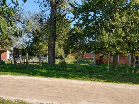 Gran Alameda 100