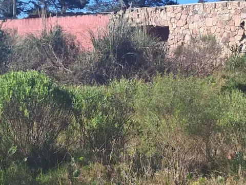 Terreno en Venta de 8209,0 m2