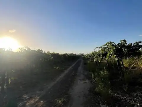 Ruta Provincial 50