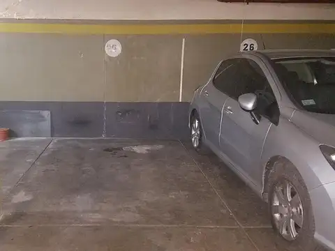 Ramon Falcon 2316 26