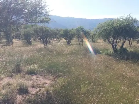 Cortaderas, loteo Agua de Pájaros, lotes de  m2