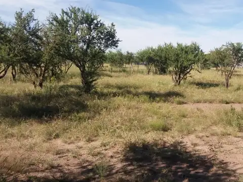Terreno en Venta de 1100,0 m2