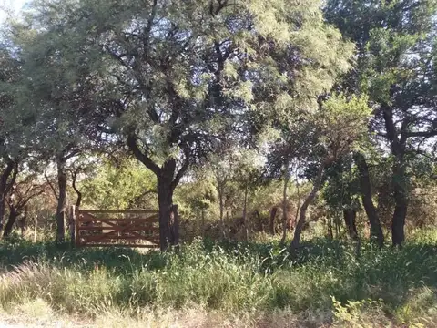 A 900 Mts Ruta 1