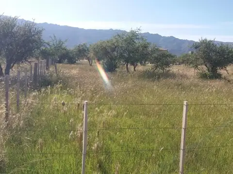 Terreno en Venta 50  mts Fondo