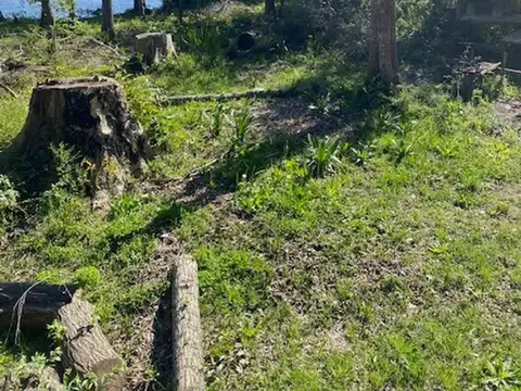Rio Parana