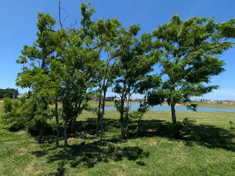 Ruta 58