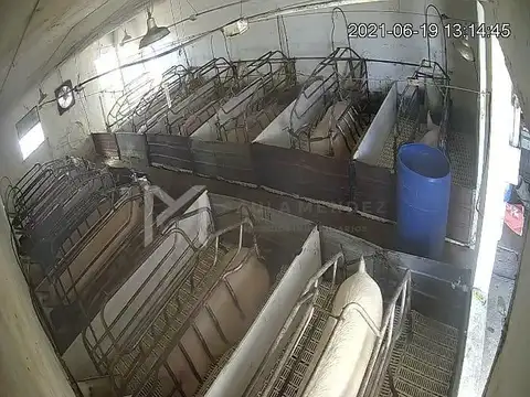 Casa Campo  en Venta en Mercedes, Resto de la Provincia, Buenos Aires