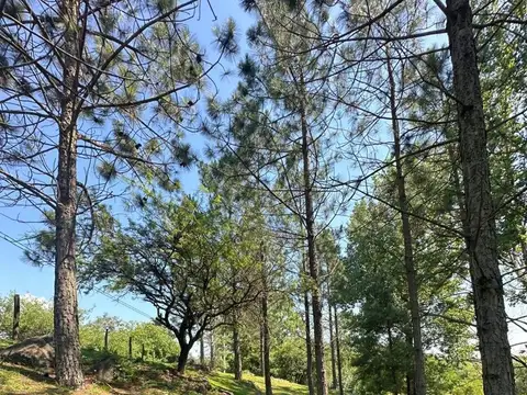 Terreno en Venta en Ascochinga, USD 50.000