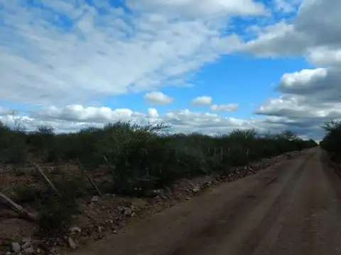 276 has Ganaderas en venta a 35km de Quines, San Luis