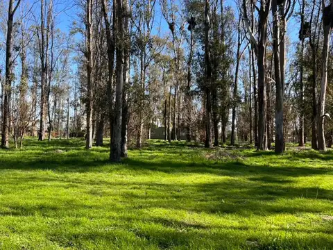 Terreno en Venta en Timbúes José María, USD 20.000