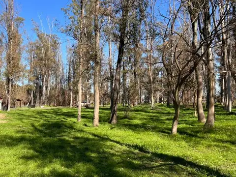 Terreno en Venta en Timbúes José María, USD 20.000