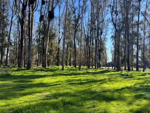 LOTE EN VENTA CAMPO TIMBO