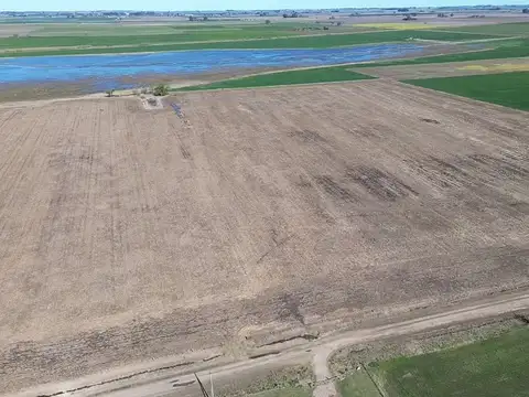 VENTA CAMPO 100% AGRICOLA 18,4 HECTAREAS CHOVET