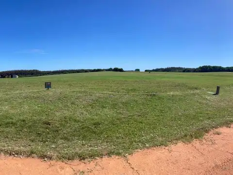 Las Garzas
