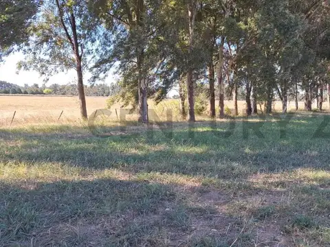 El Resero y rio lujan
