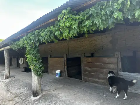 Campo en Ruta 8 km 81,5