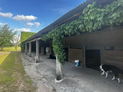 Campo en Parada Robles