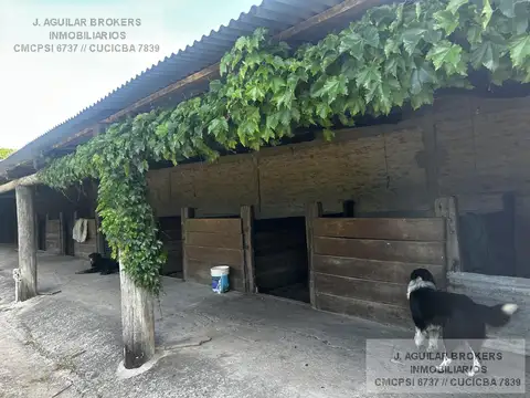 Campo en Ruta 8 km 81,5