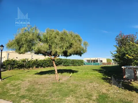 Terreno en Venta de 577,0 m2