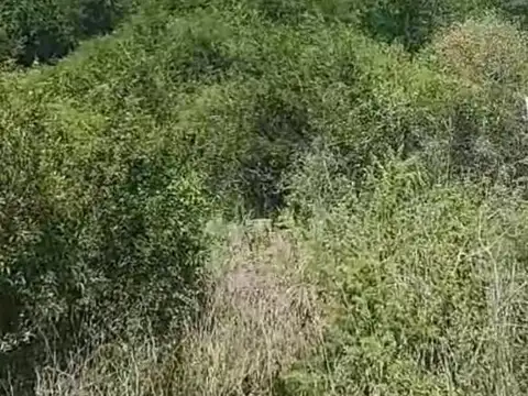 VENDO LOTE OPORTUNIDAD PARQUE SIQUIMAN