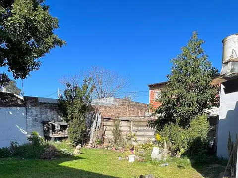 Congresales  al 5300