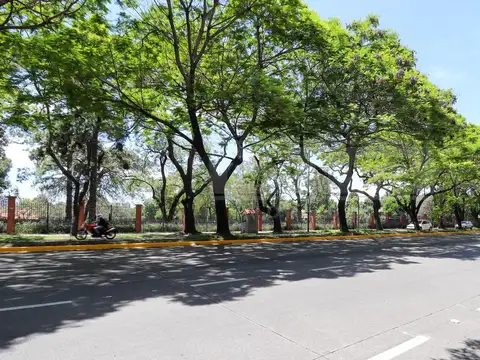Depto Tipo Casa en Alquiler 60 años