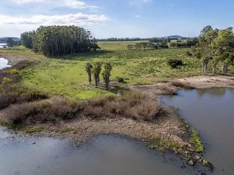 Chacra de 11 hectáreas, venta en laguna del sauce
