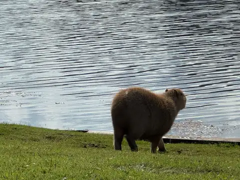 Terreno en Venta en Nordelta Virazón, USD 520.000