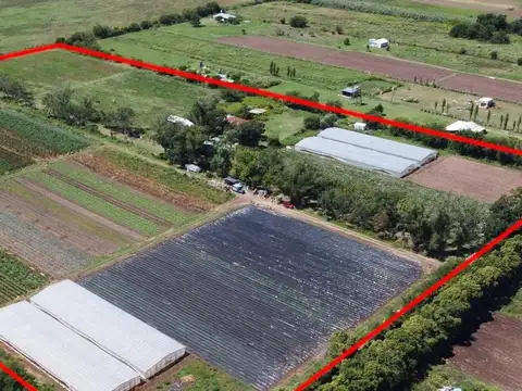 San Lorenzo y Gral Paz 4000