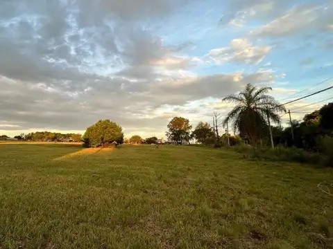 VENTA | TERRENO DE 2 HECTÁREAS SOBRE AV. J. M. FANGIO – POSADAS