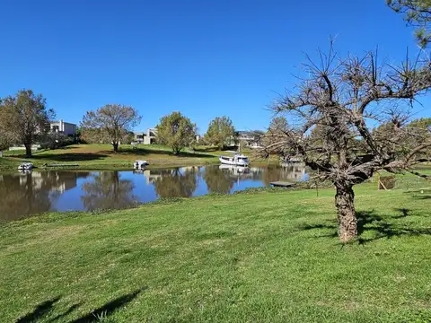 El Solar 50